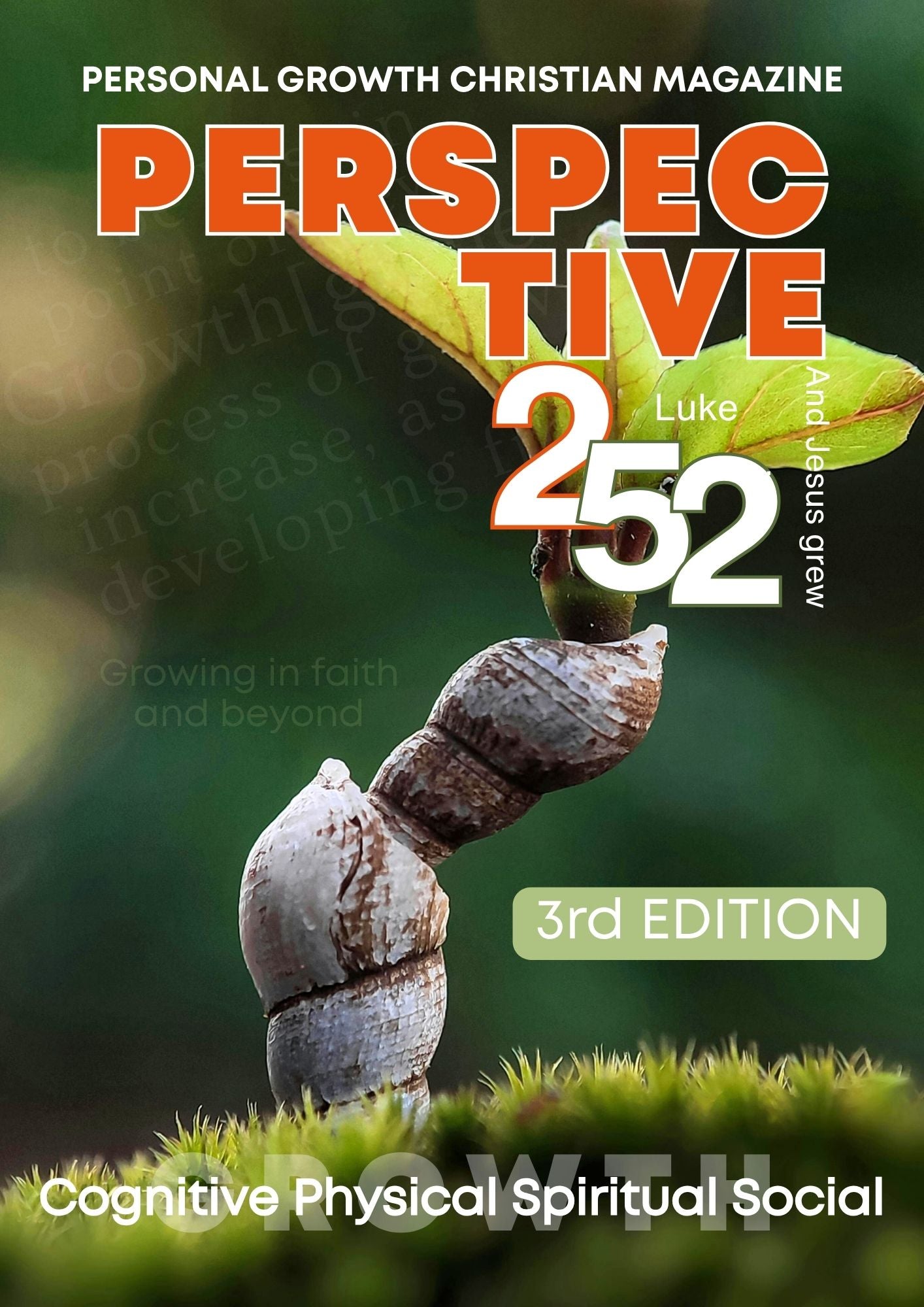 3rd Edition | PERSPECTIVE 252