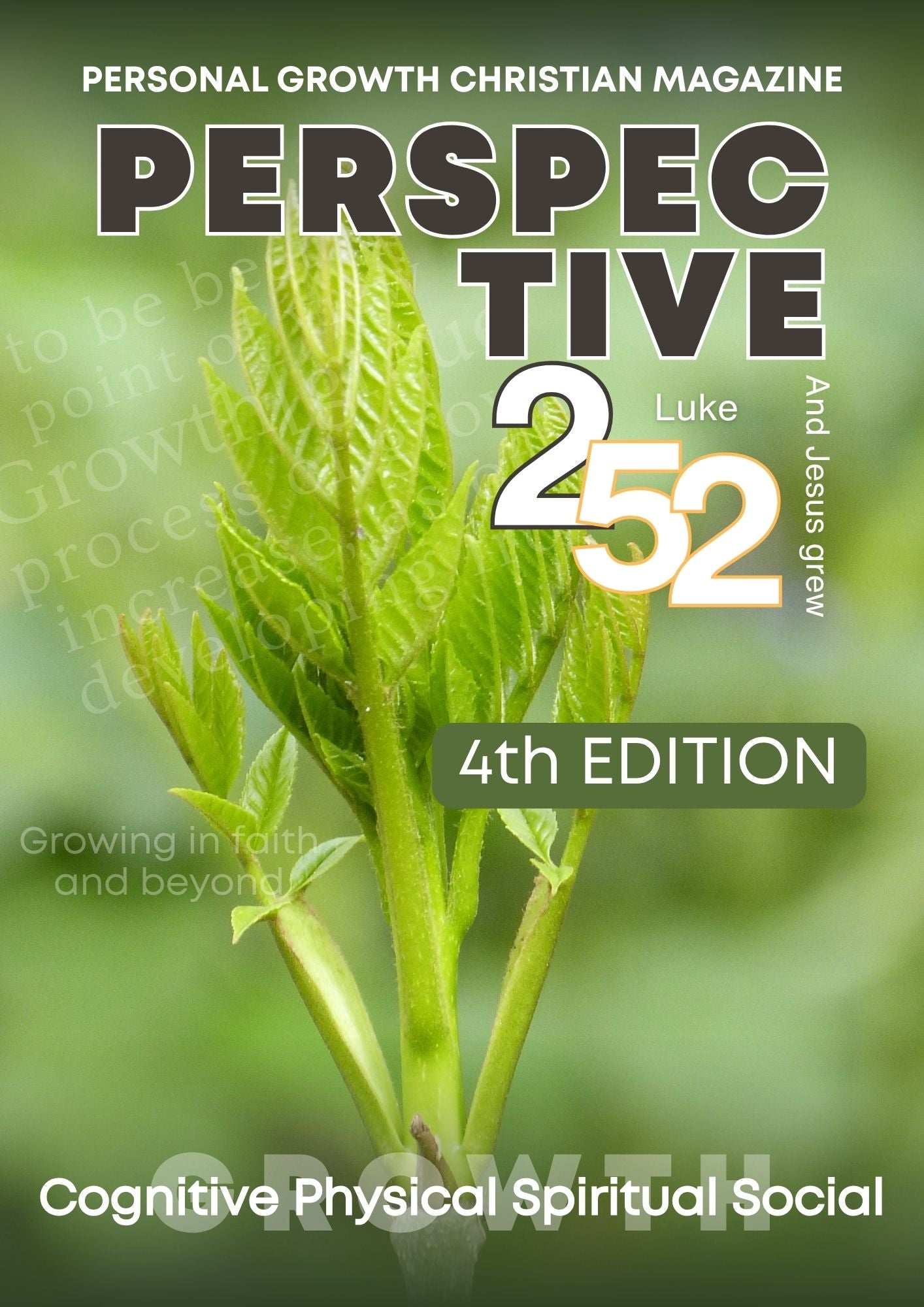 4th Edition | PERSPECTIVE 252
