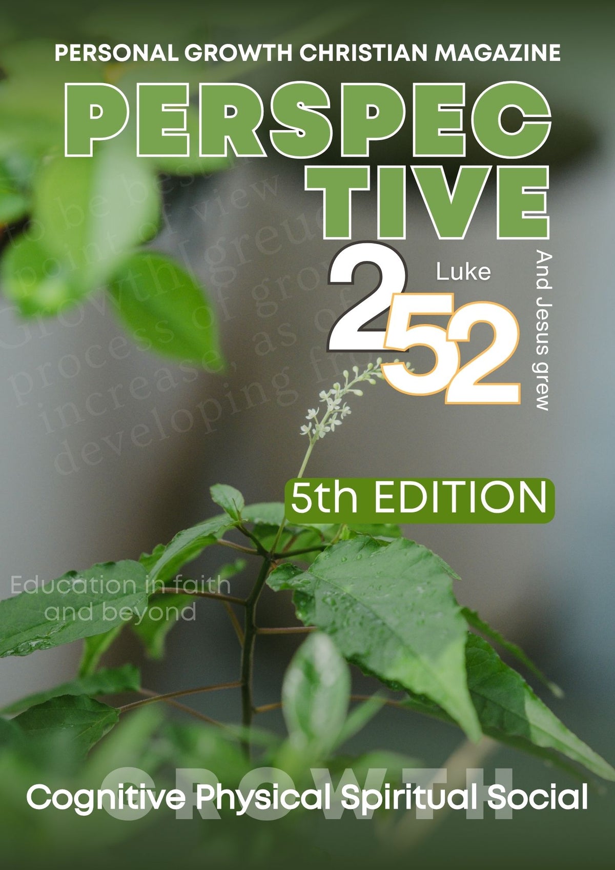 5th Edition | PERSPECTIVE 252
