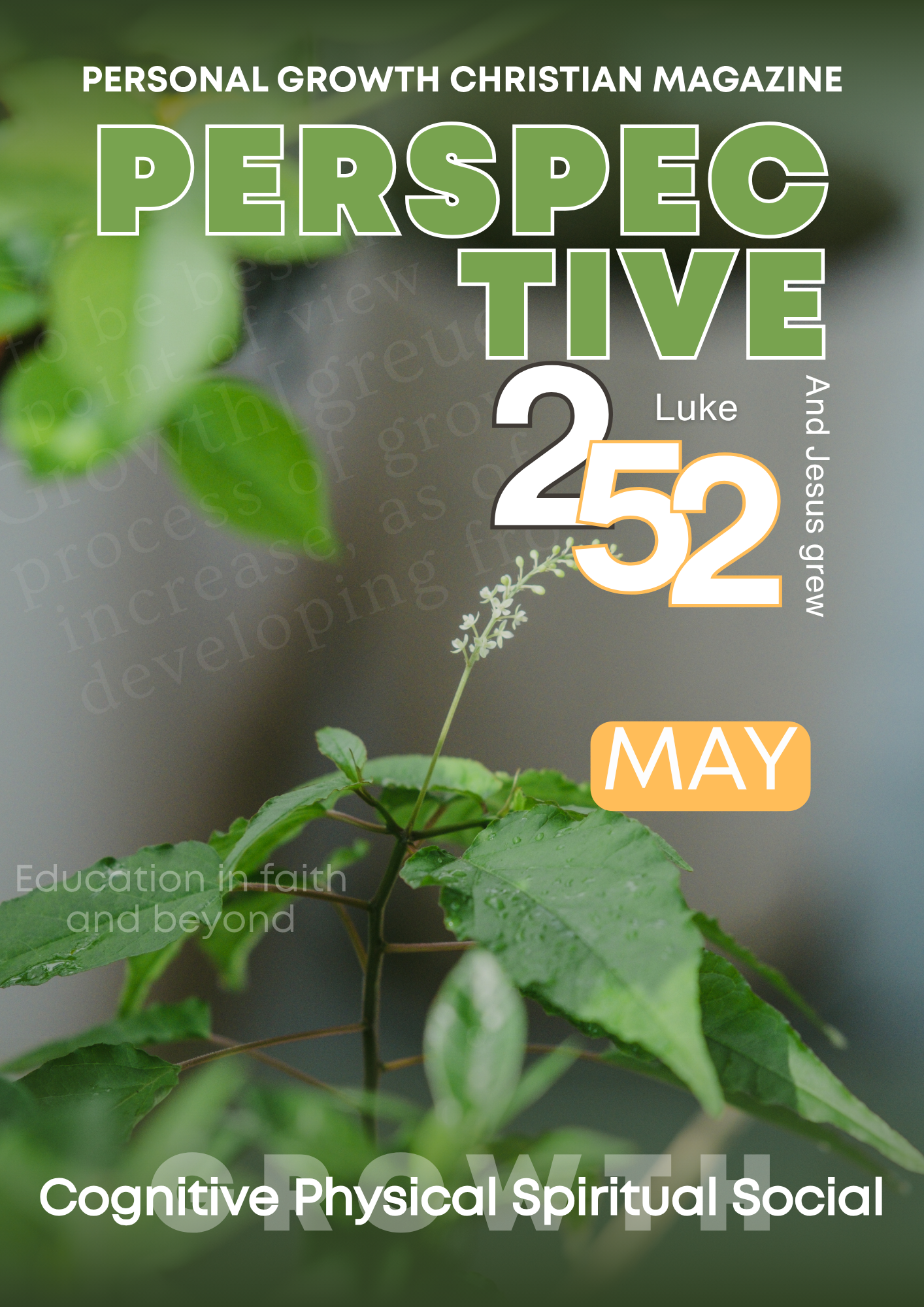 May Edition Perspective 252