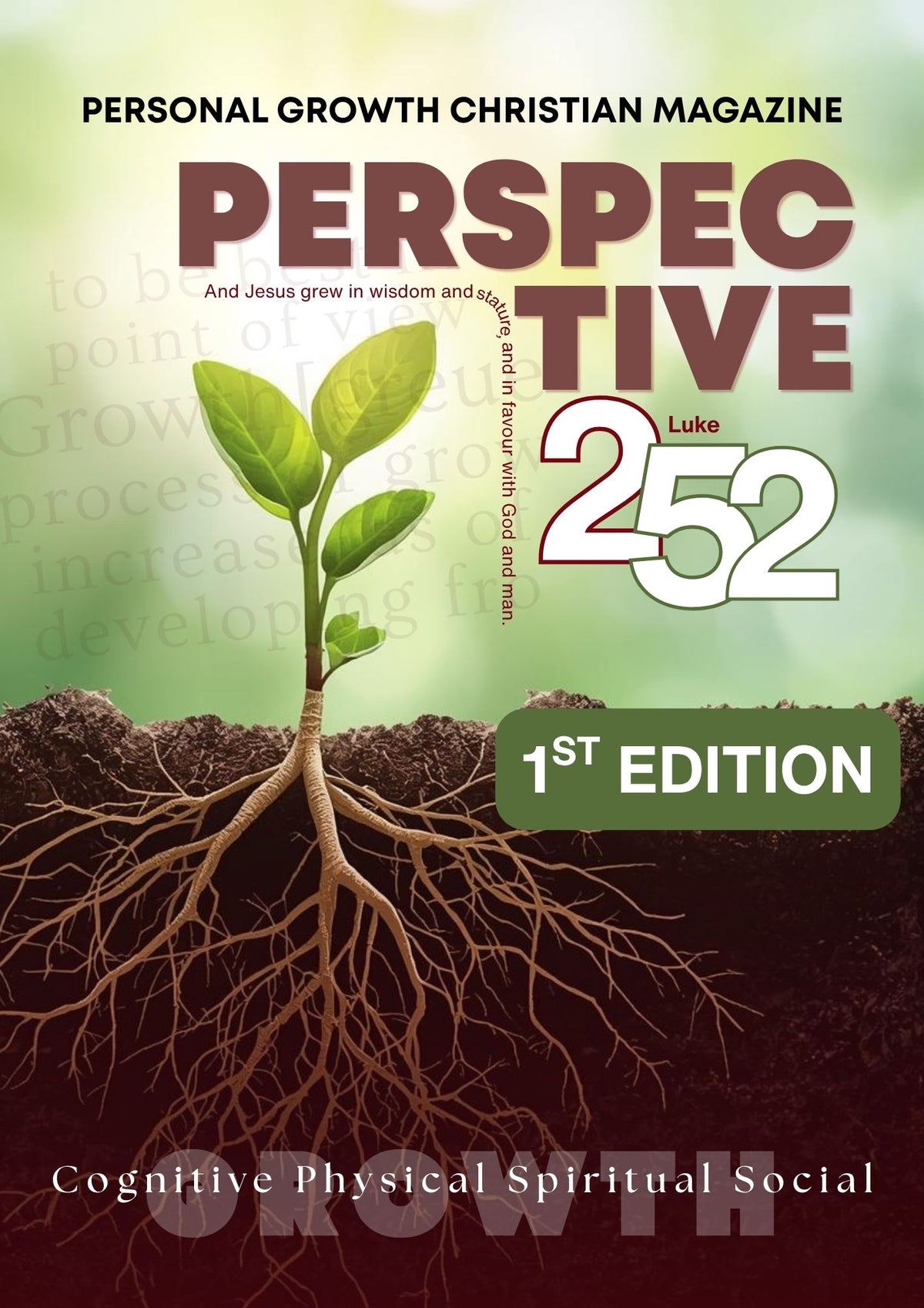1st Edition | PERSPECTIVE 252
